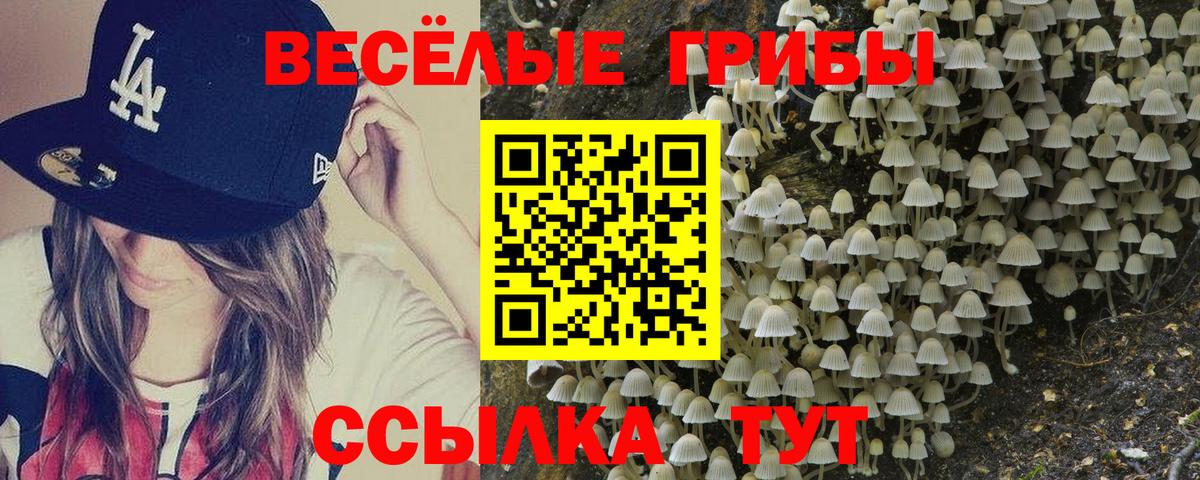 где купить наркотик  Галлюциногенные грибы прущие грибы  Вход с VPN  Иваново 