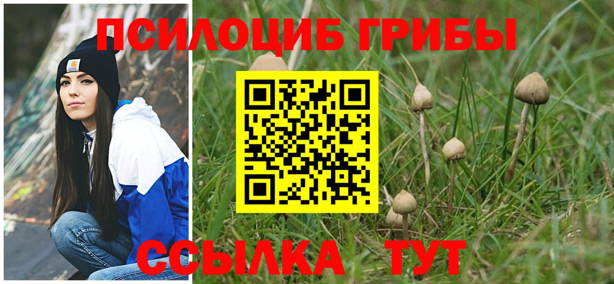 Галлюциногенные грибы мицелий Иваново